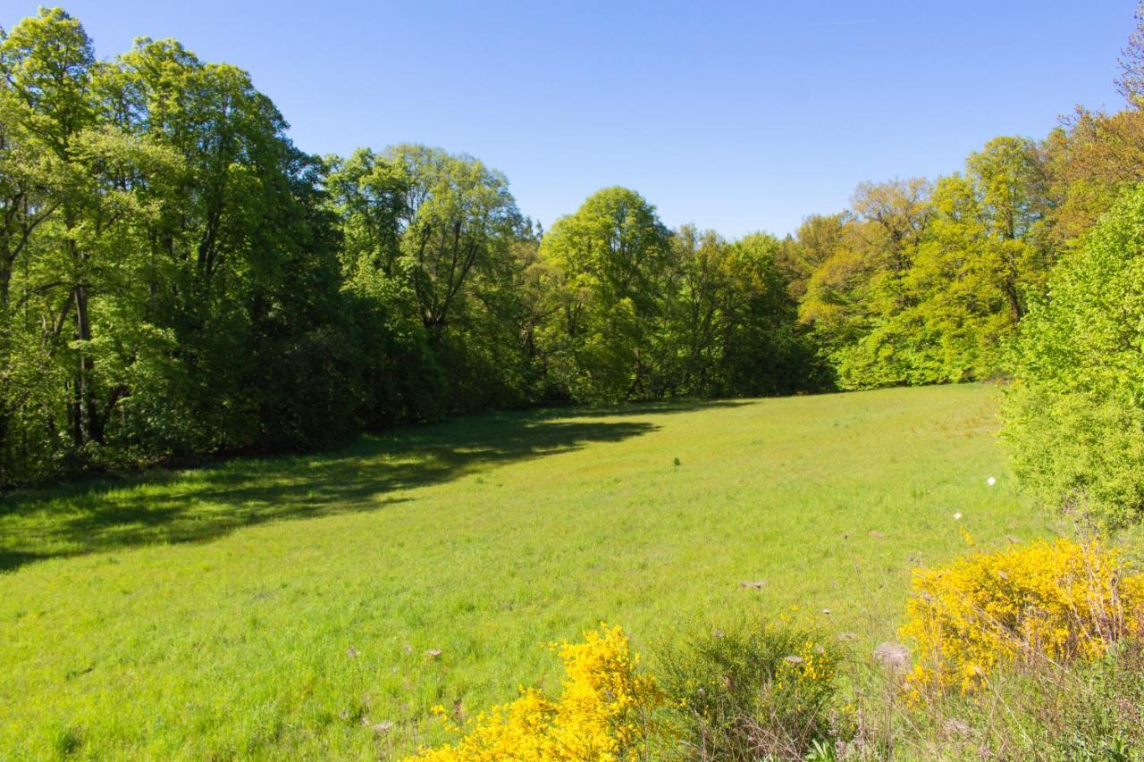 Wonderful Renovated Apartment With Great Location Kaiserslautern Bagian luar foto